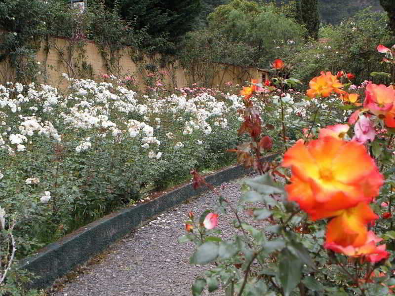 Pestana Quinta do Arco Nature & Rose Garden Hotel Arco de São Jorge Esterno foto